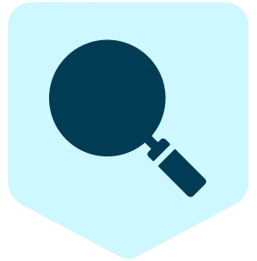 Zoom icon