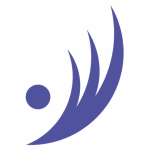 logo for PAVE 2.0 PDF Remediation