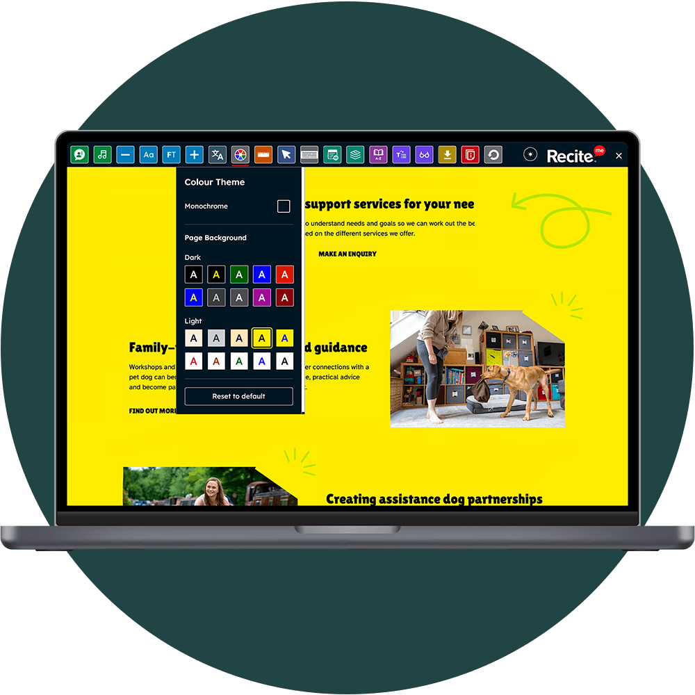 The Recite Me Toolbar being used on the Dogs for Good website